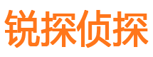 和布克赛尔市私家侦探